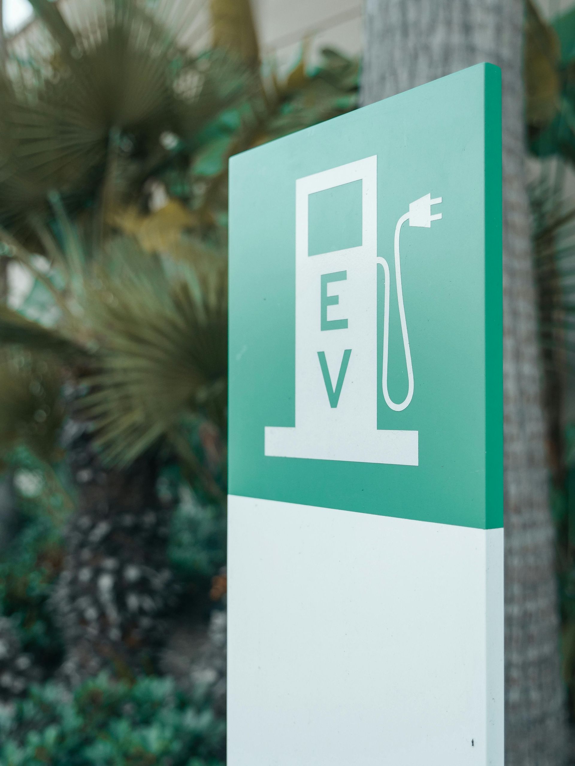Green and white EV charging station sign with palm trees in the background.