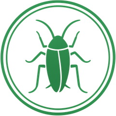 Cockroaches
