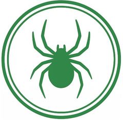 Spiders