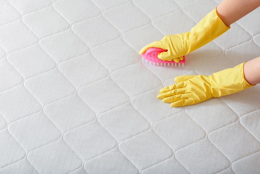 Hands in Yellow Gloves Scrubbing a White Mattress — Chemdry D & K in Bannockburn, VIC
