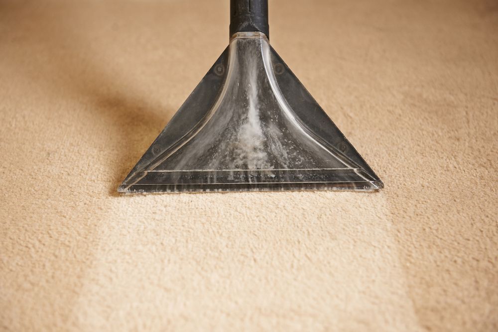 Carpet Cleaner Nozzle Extracting Dirt From a Carpet — Chemdry D & K in Geelong, VIC