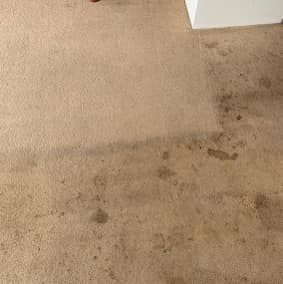 Beige Carpet With Dark Stains and Visible Wear — Chemdry D & K in Geelong, VIC