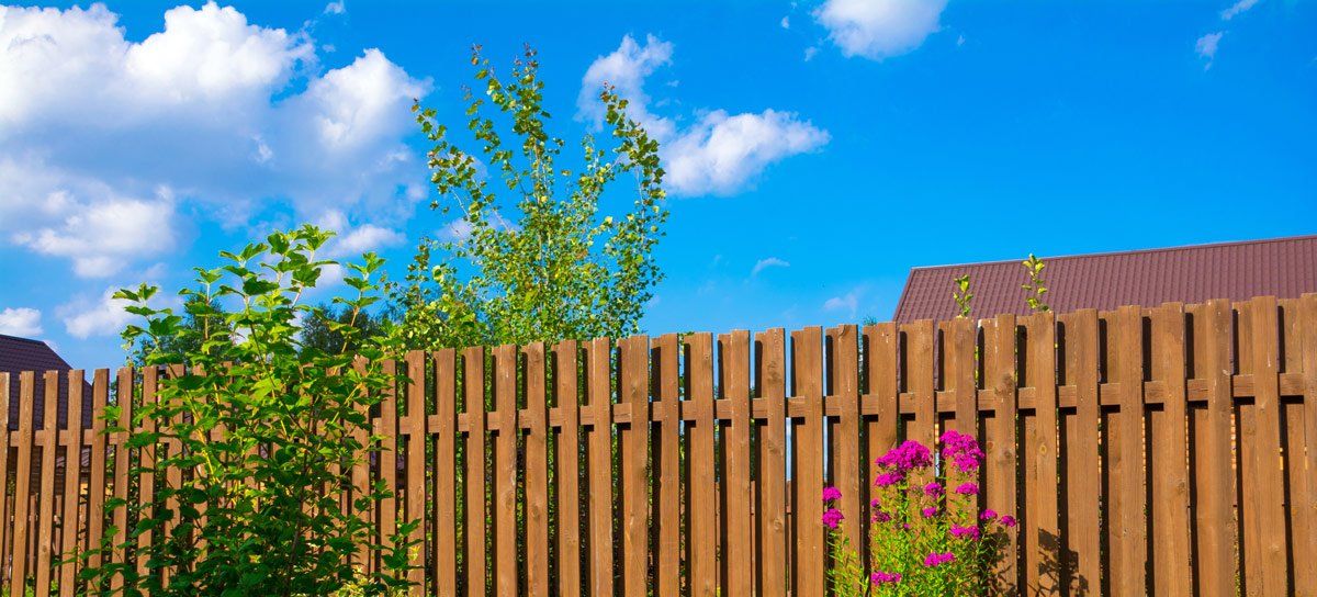 How To Make Your Garden More Private