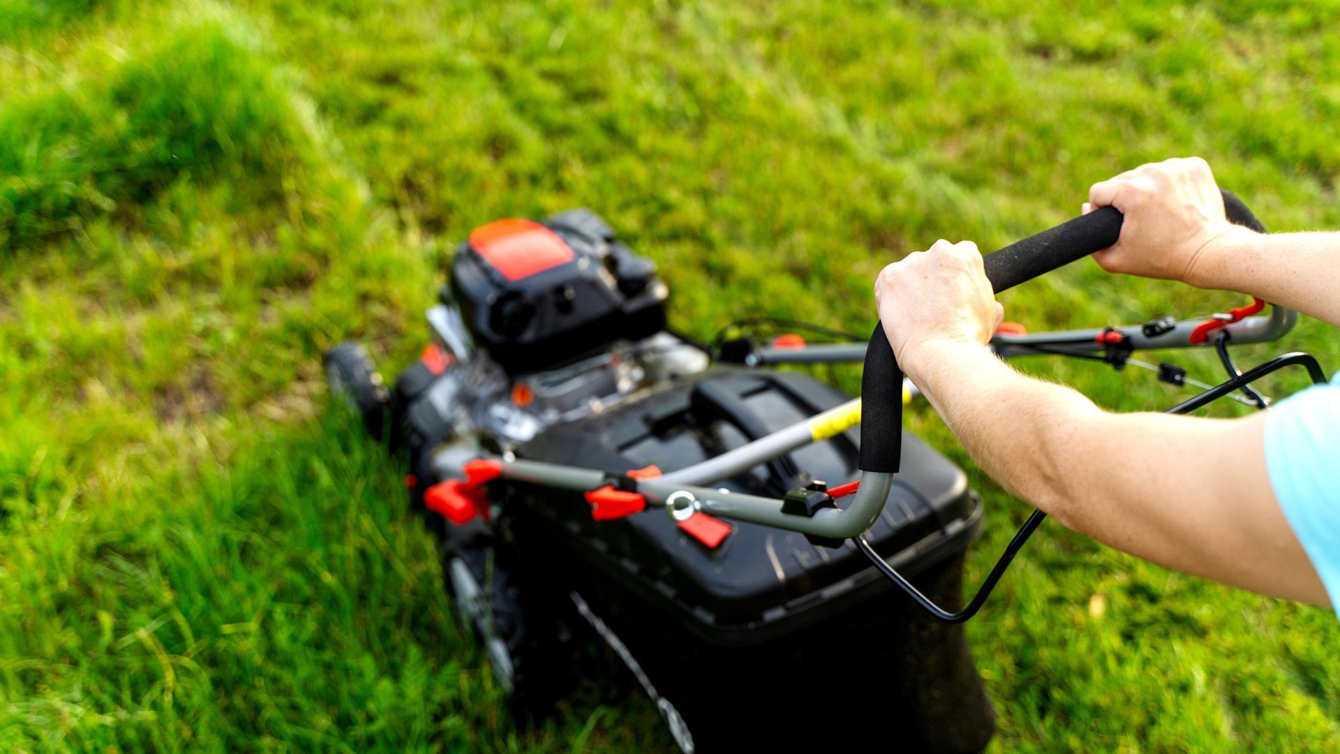 Person mowing a green lawn with a black lawnmower.