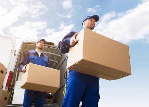 Two Men Are Carrying Boxes Out of a Van — Lite Moves Furniture Removals In Coffs Harbour, NSW