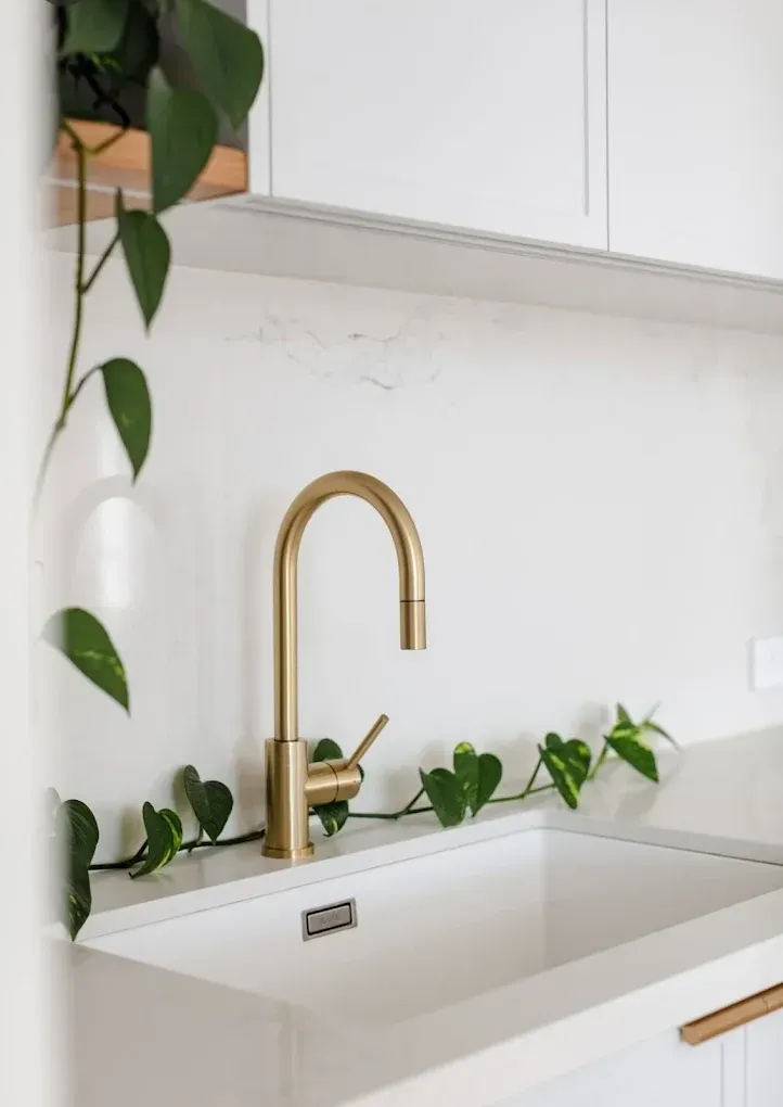 Gold faucet in a white kitchen sink, with a trailing green plant  — PK4 Projects in Port Macquarie, NSW