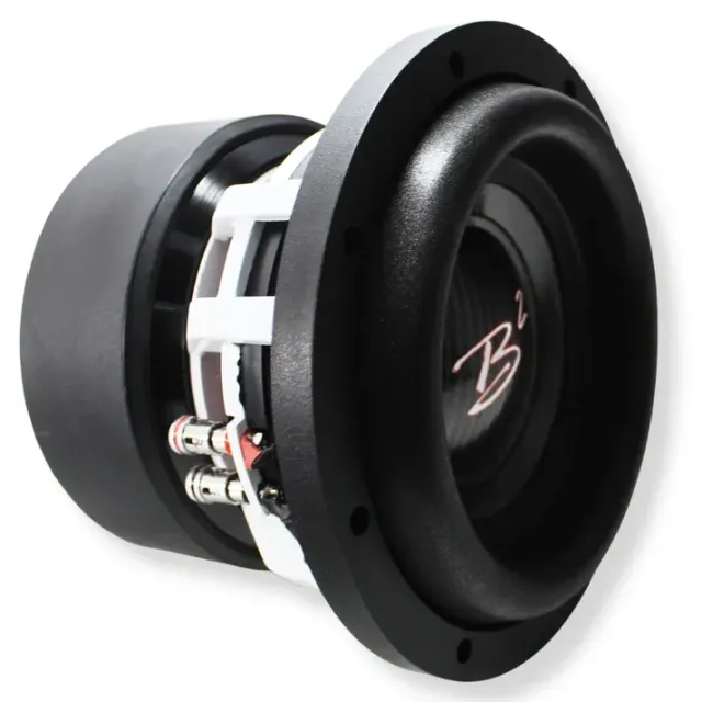 Een b2-subwoofer wordt op een witte achtergrond weergegeven