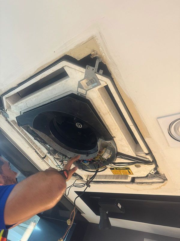 SERVICIOS ESPECIALIZADOS DE SINALOA