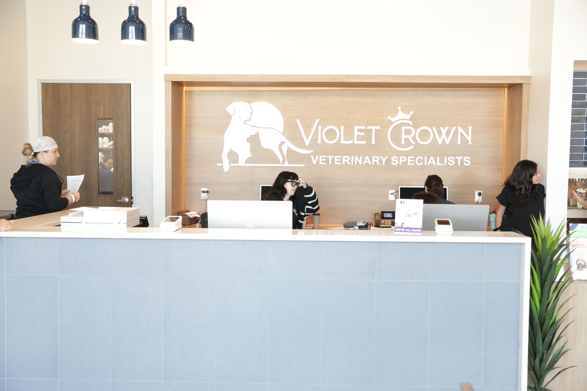 Violet Crown Veterinary Specialists reception