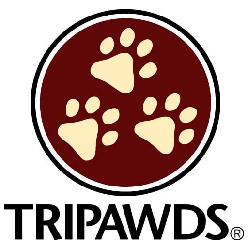 Three-legged Dog and Cat Support Community
