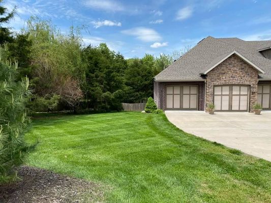 The roots of a tree are covered in moss in the woods.