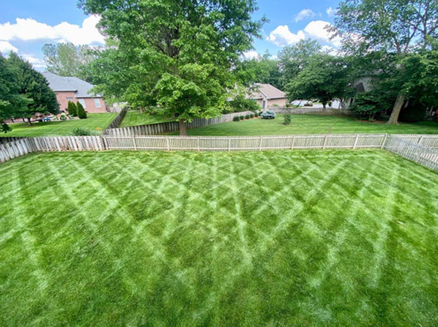 A lush green lawn with a white fence and a tree in the background.