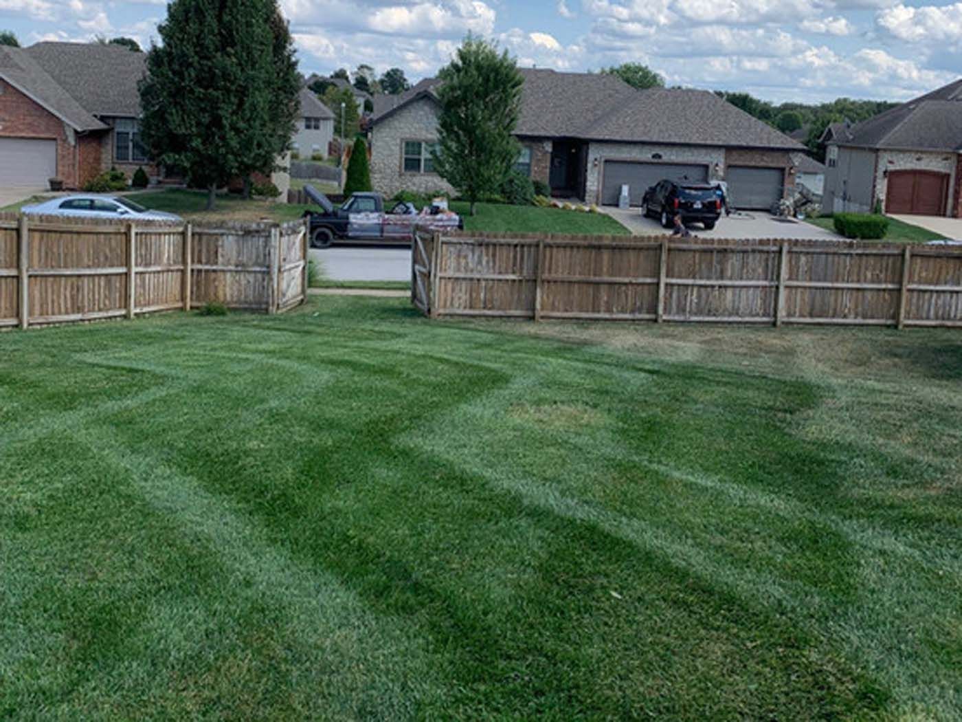 A backyard with a wooden fence and a lush green lawn.