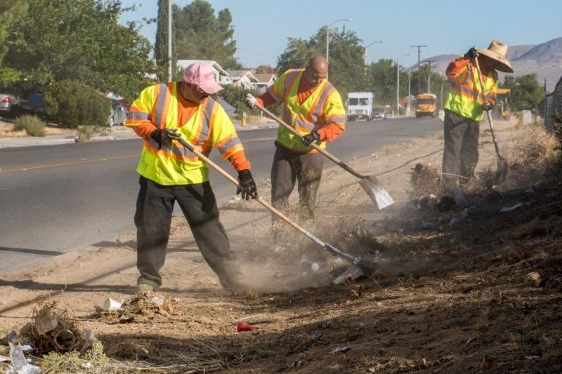 A group of workers are cleaning the side of a road.