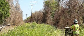 A man wearing a hard hat is standing in a field of tall grass.