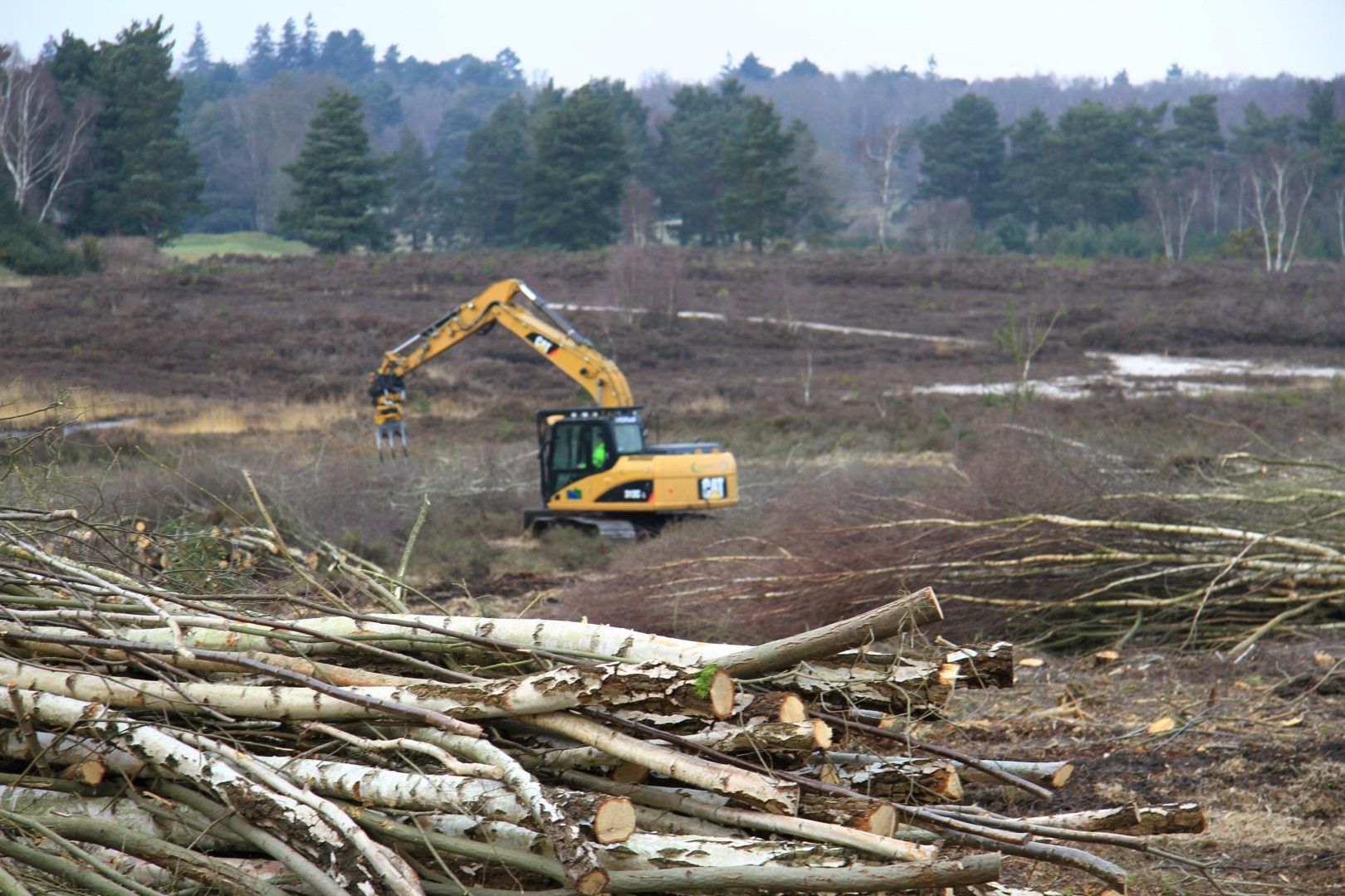 A large yellow excavator is cutting down trees in a field.