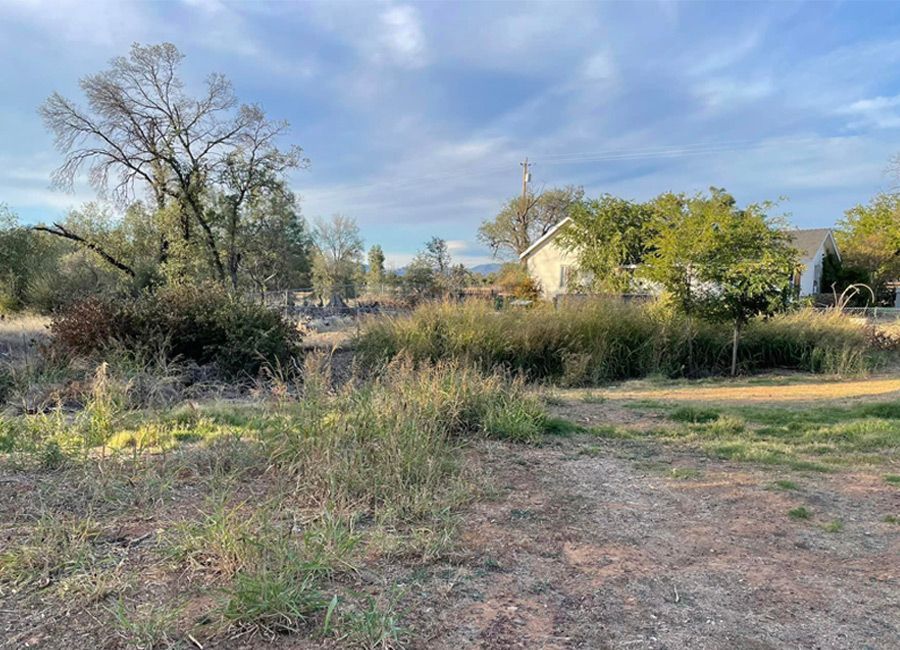 A dirt road going through a field with trees in the background.