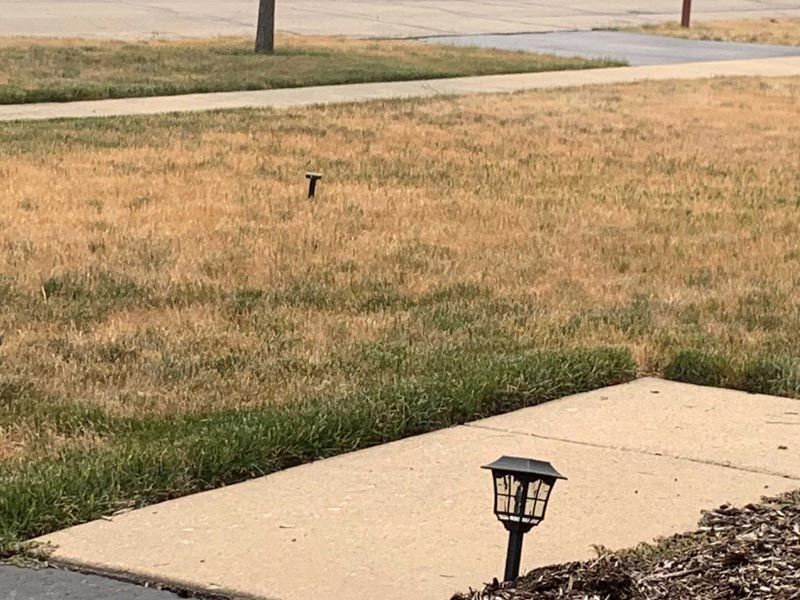 A solar powered lamp is sitting on the sidewalk next to a lawn.