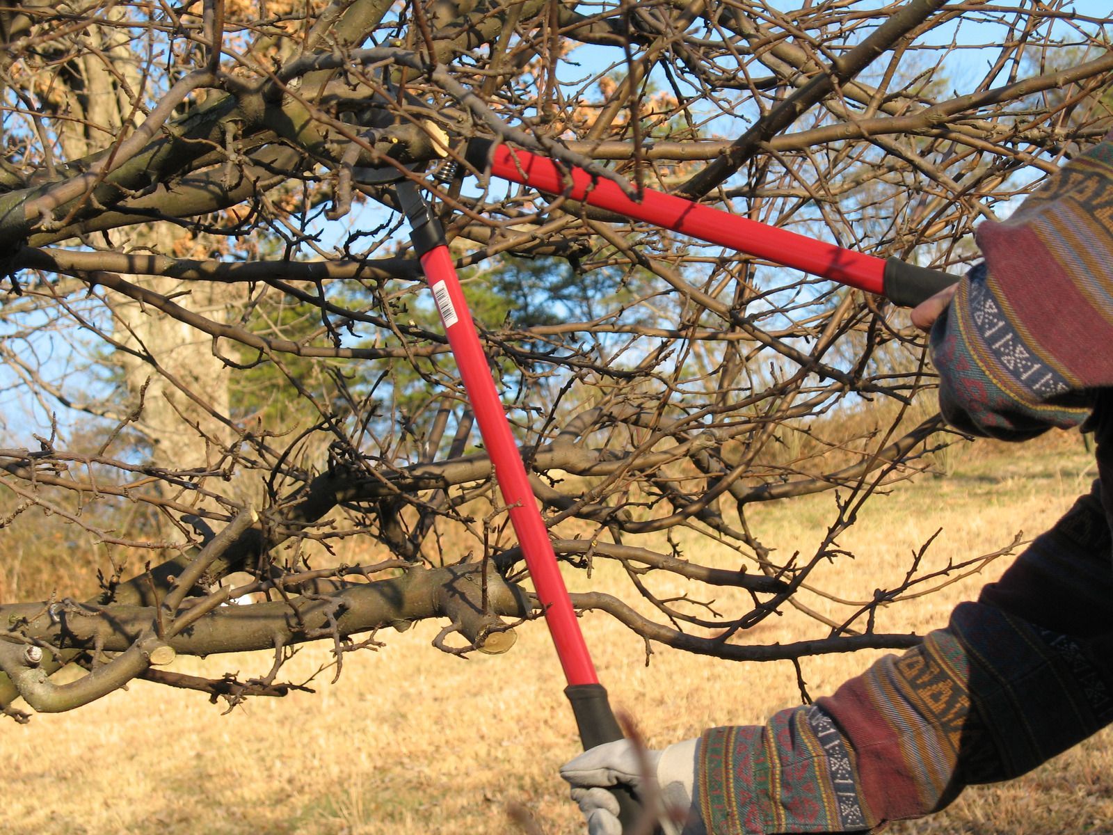 A red excavator is moving a pile of branches in a field.