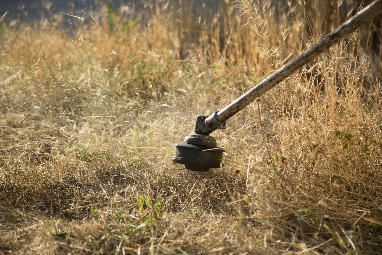 A person is using a lawn mower to cut dry grass in a field.