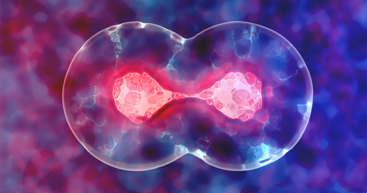  Stem cell division process illustration showing regenerative healing used in cosmetic medicine.