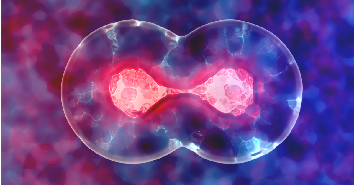 Digital illustration showing stem cell division and regeneration, symbolizing advanced stem cell the