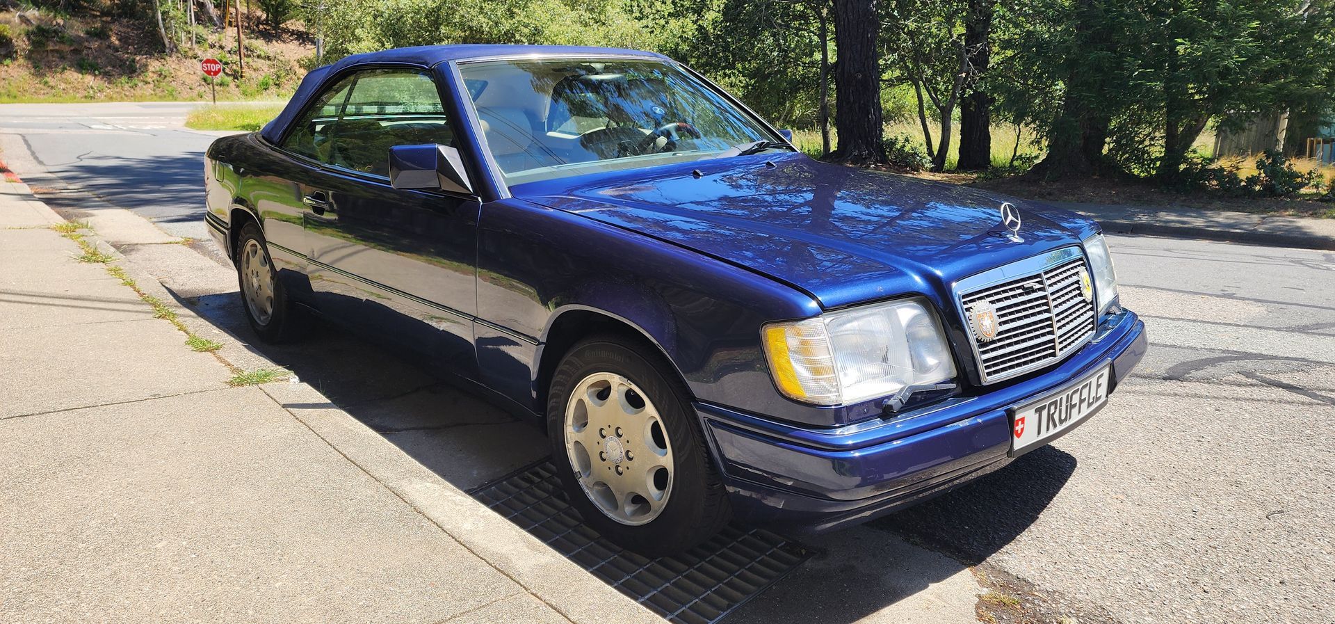 Blue sedan parked on a sunny street beside a tree-lined sidewalk