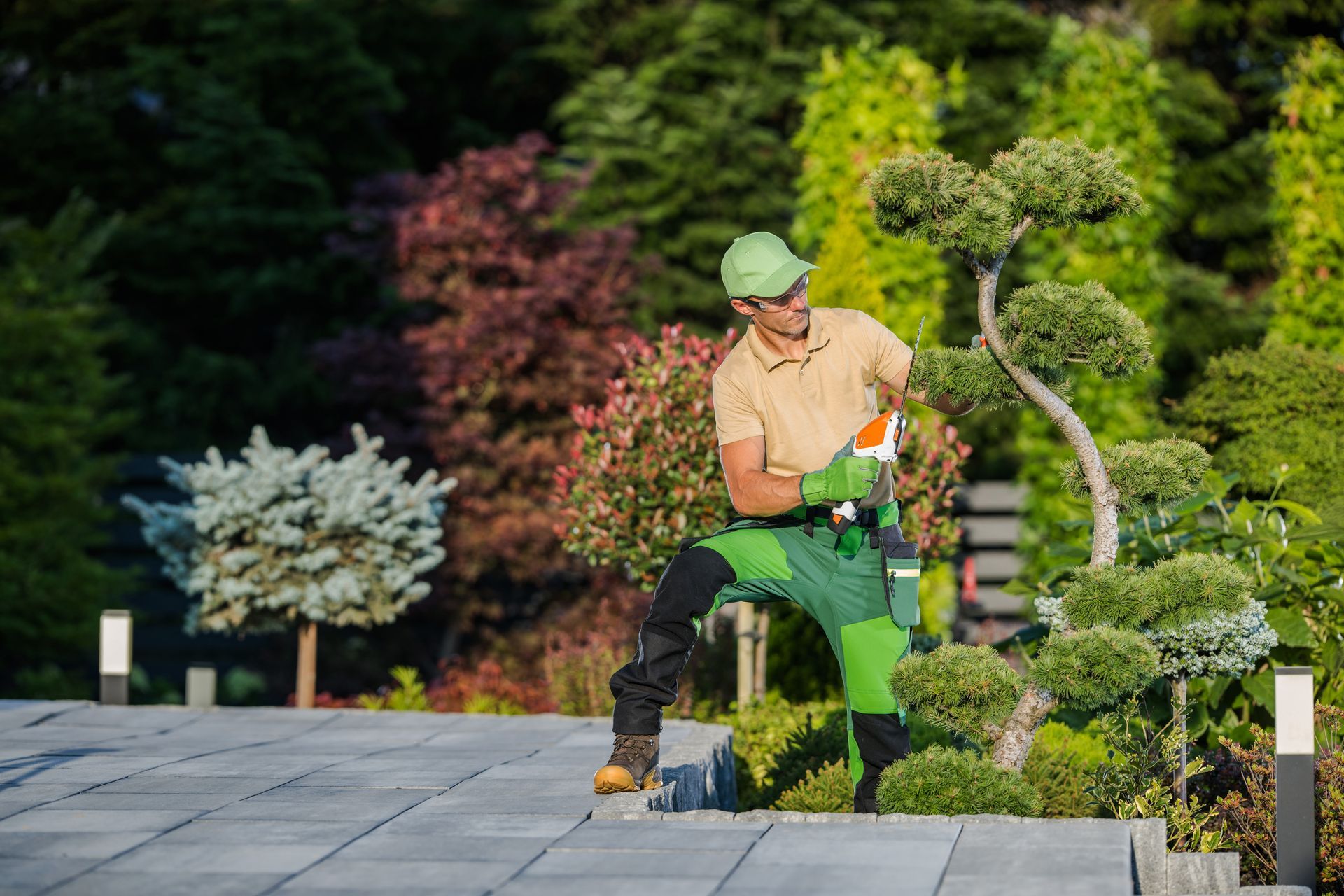 Landscaping Services Near Me