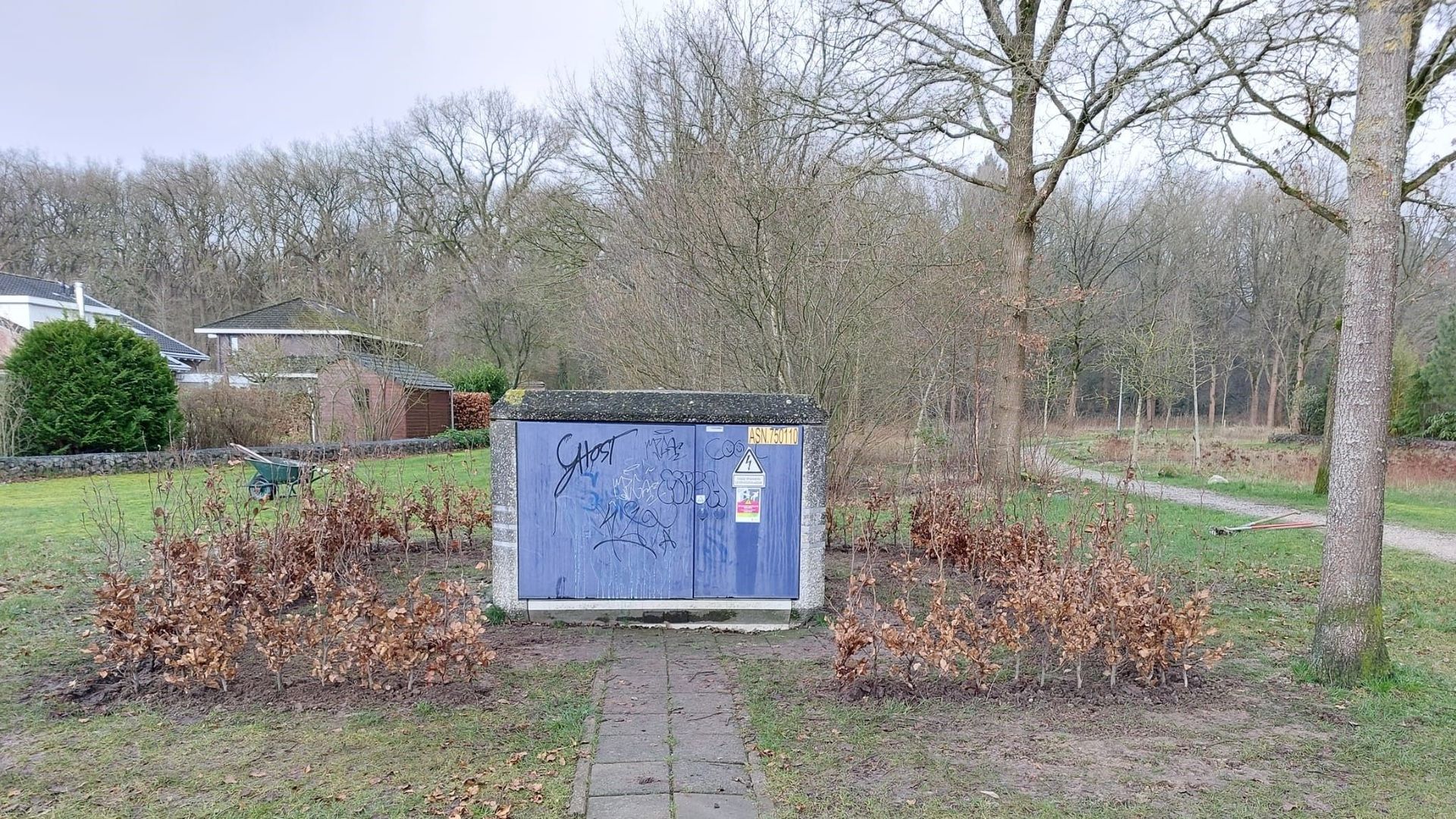 Nieuwe beukenhaag transformatorhuis naast bloemenweide
