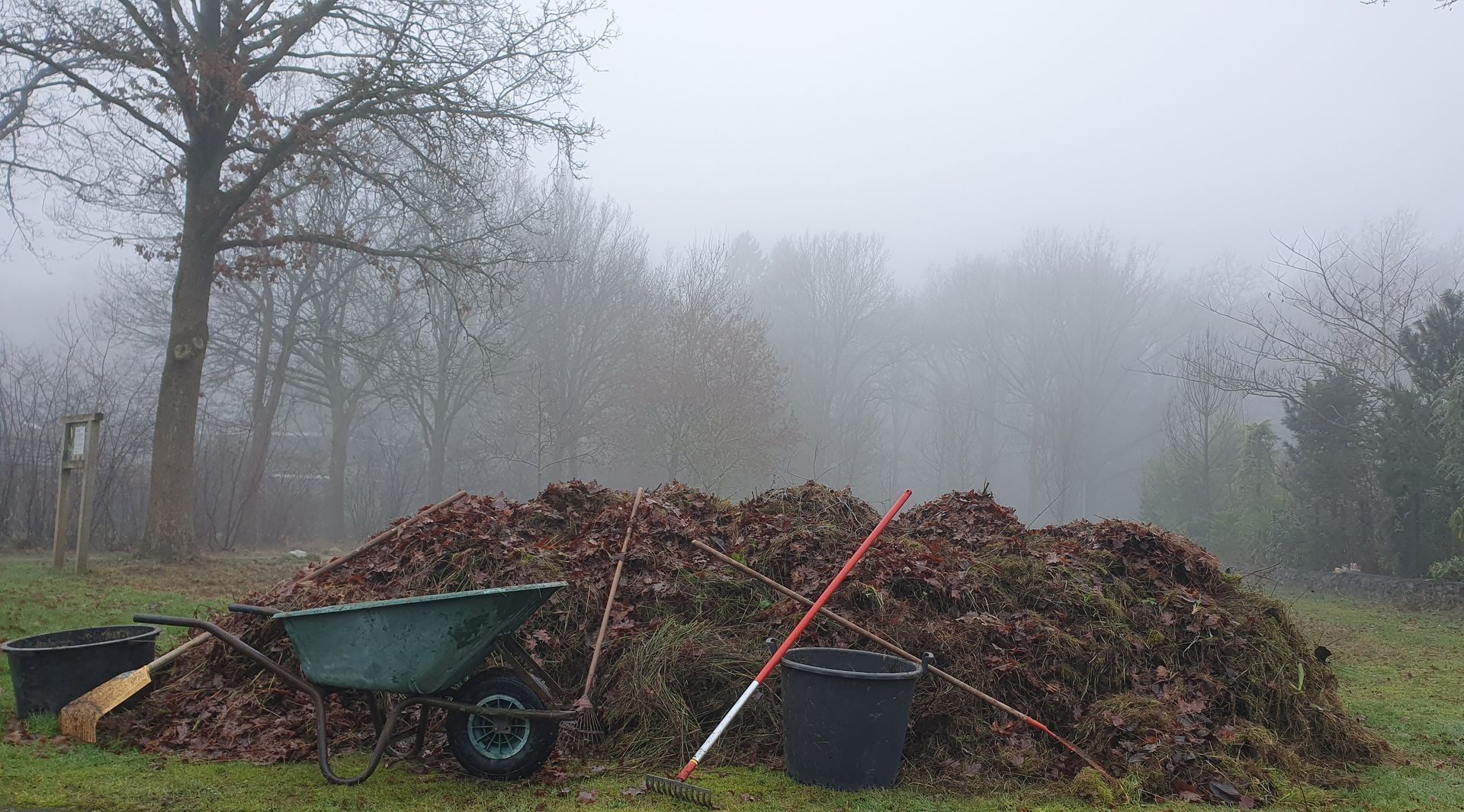 Onderhoud Bloemenweide Houtlaan Assen