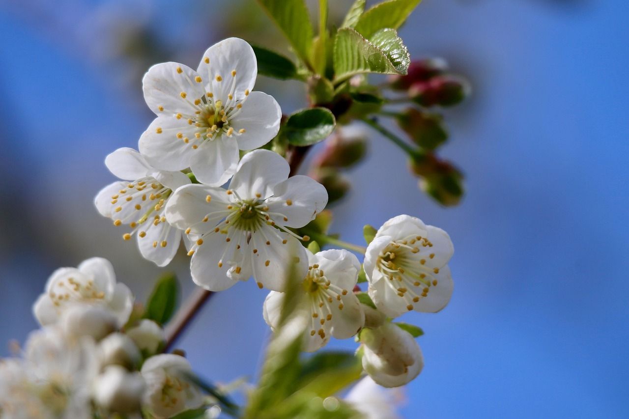 Lees meer over ons urnen-atelier in Assen