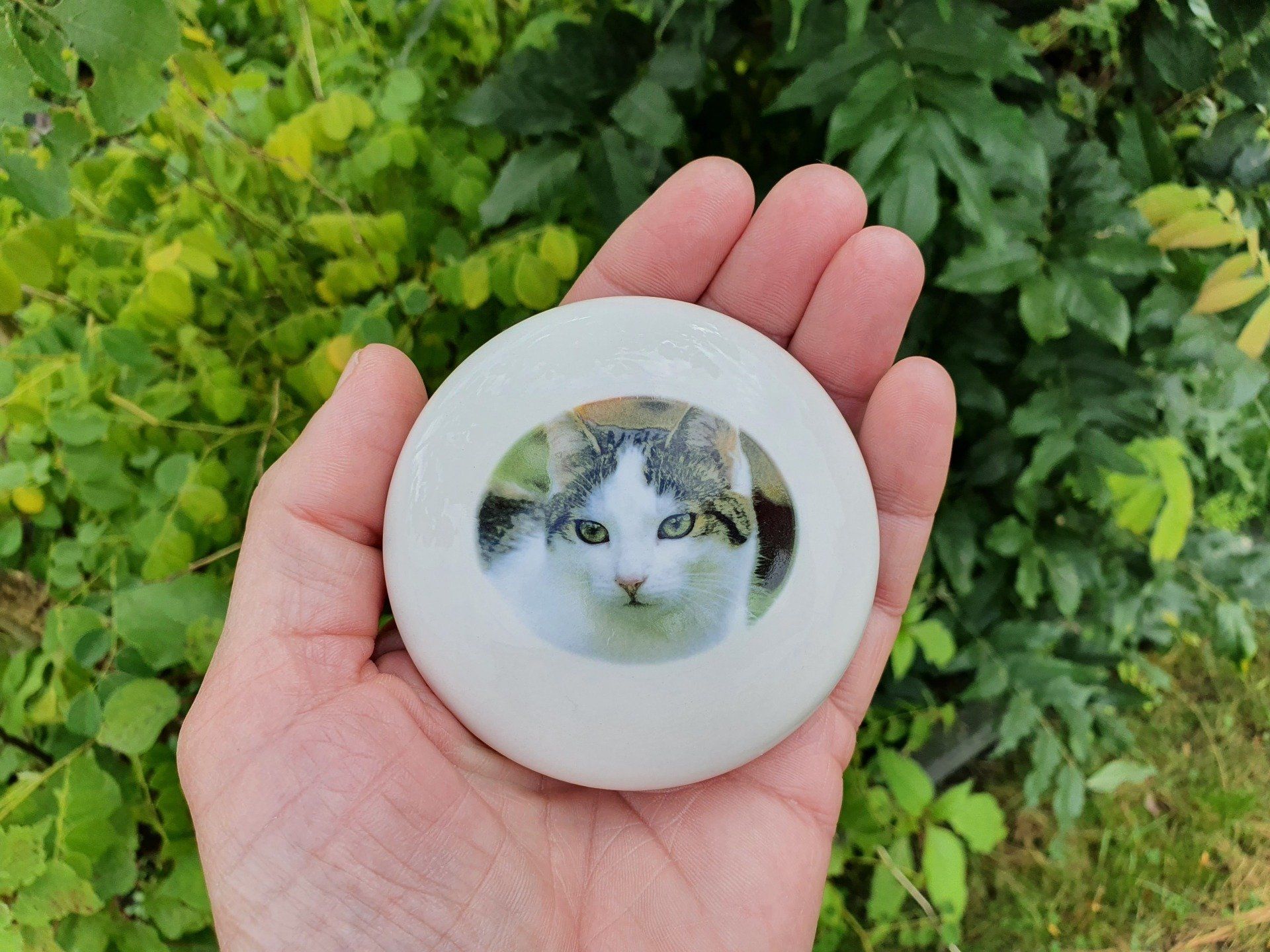 Mini kattenurn met foto (urnschaal - pebble urn)