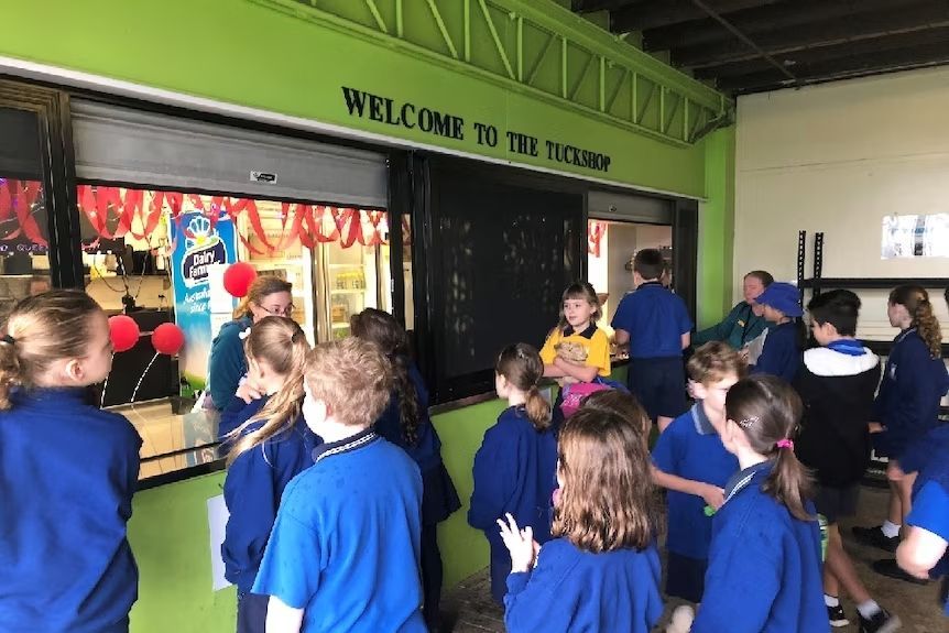 Children at School — Commercial Equipment in Port Macquarie, NSW