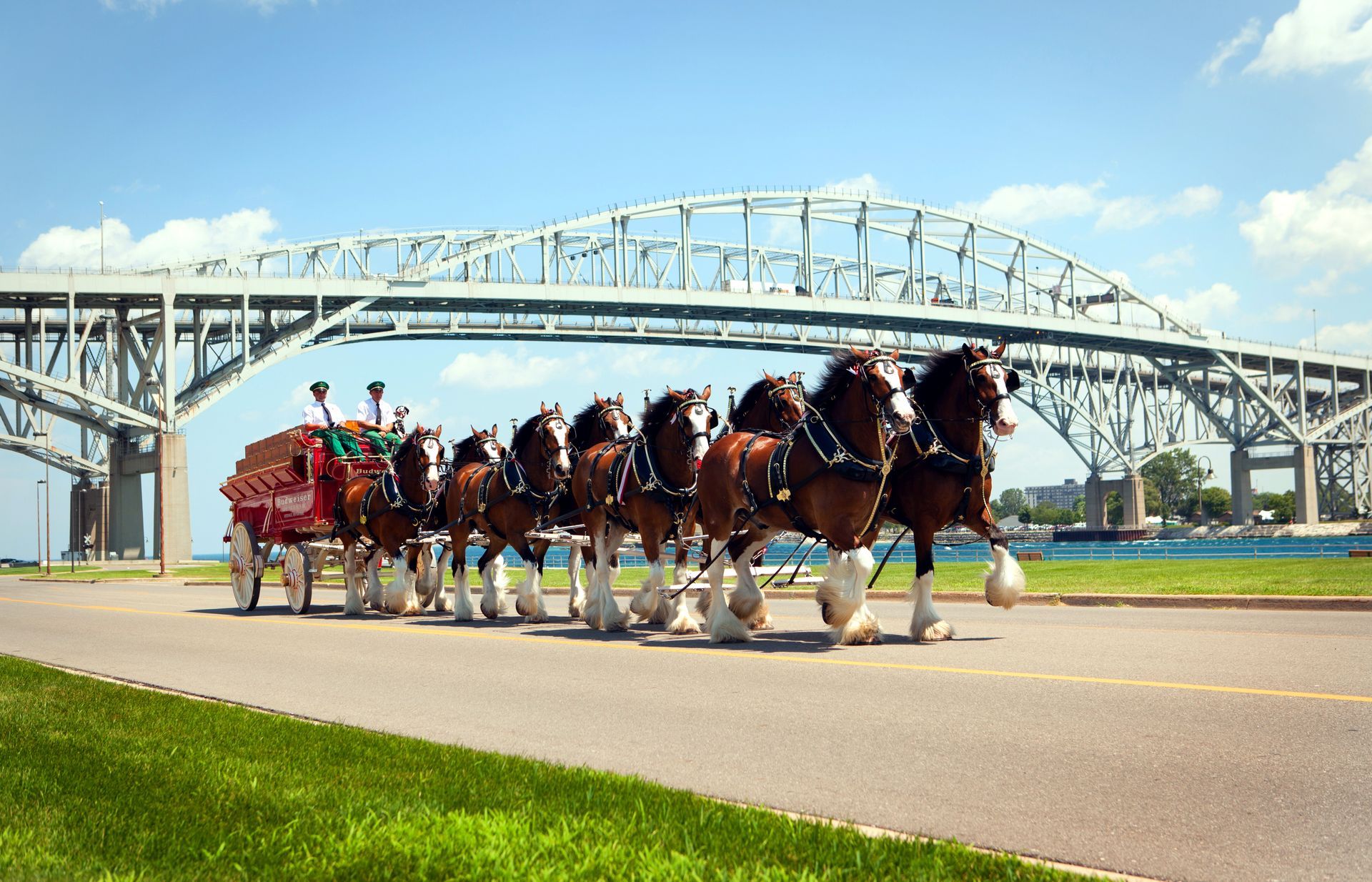 A horse drawn carriage is going under a bridge