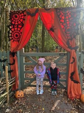 Two young children standing next to a five bar gate with a halloween curtain draped over it.