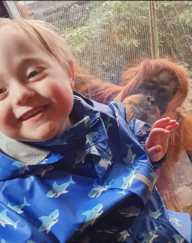 a little girl wearing a blue jacket with sharks on it is smiling in front of an orangutan .