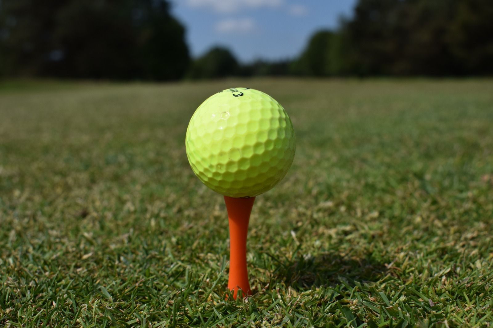 A close-up of a yellow golf ball on an orange tee at Down Syndrome Cheshire's golf day 2025