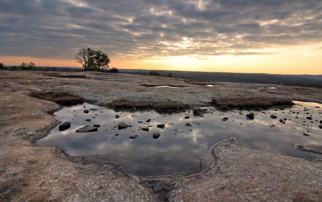 Connection to Self - Saturday, 3/19/2022 - 3:30-6 pm ET ($45) - Arabia Mountain