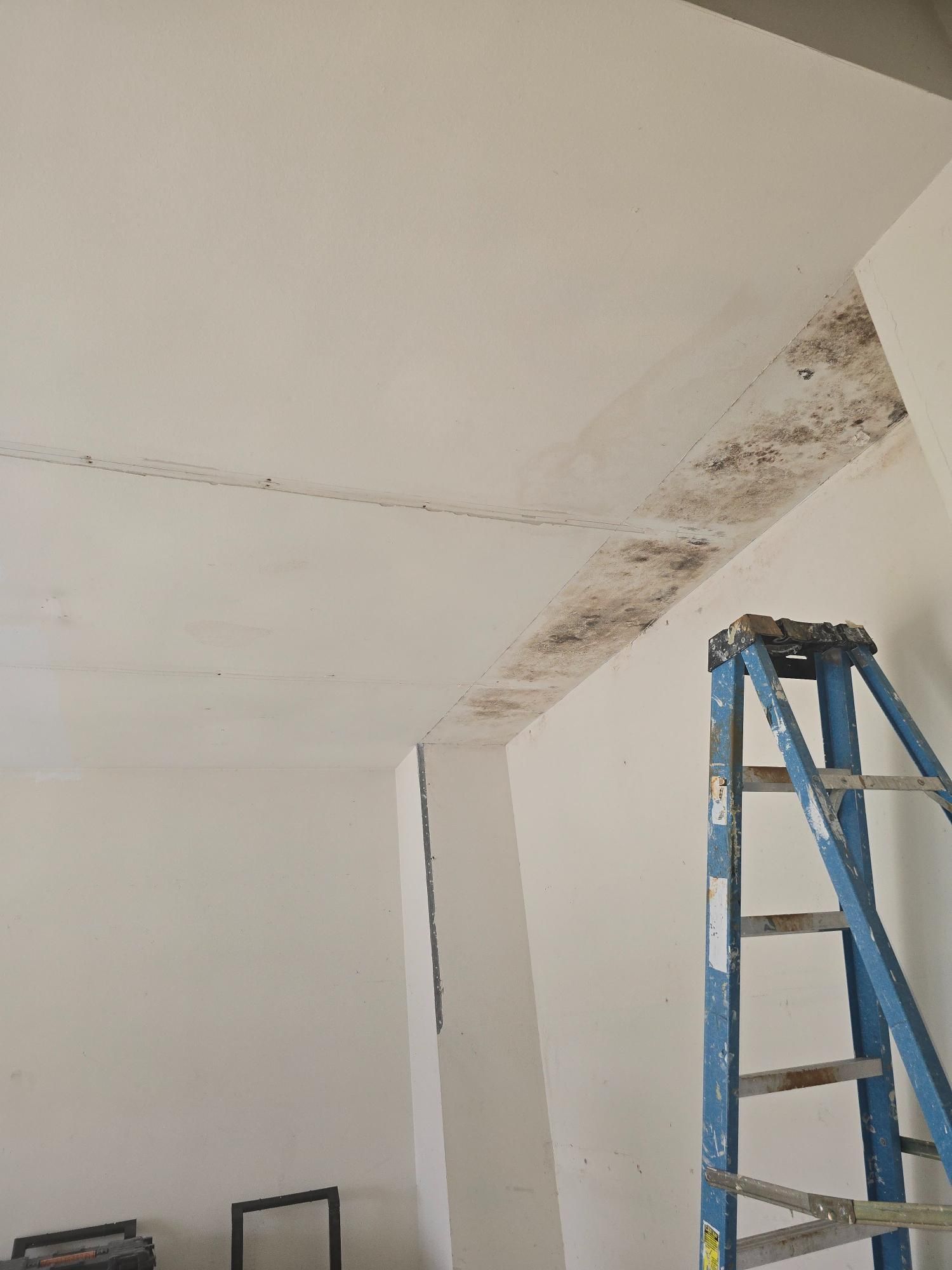 A blue ladder is sitting in a room next to a white wall.