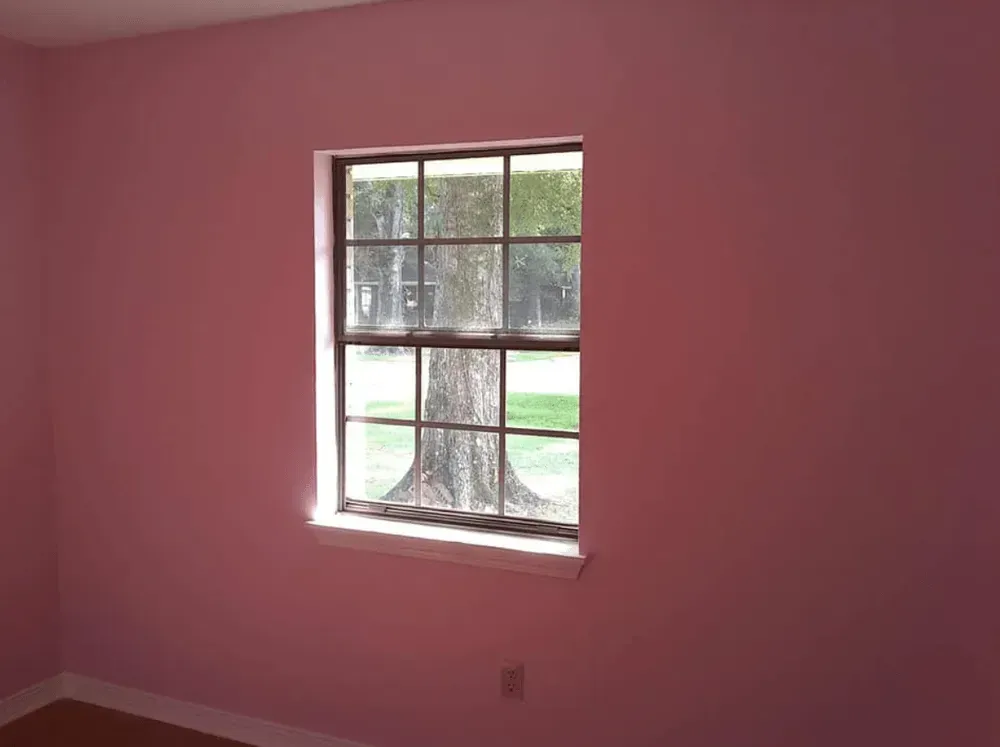 A pink room with a window looking out to a tree