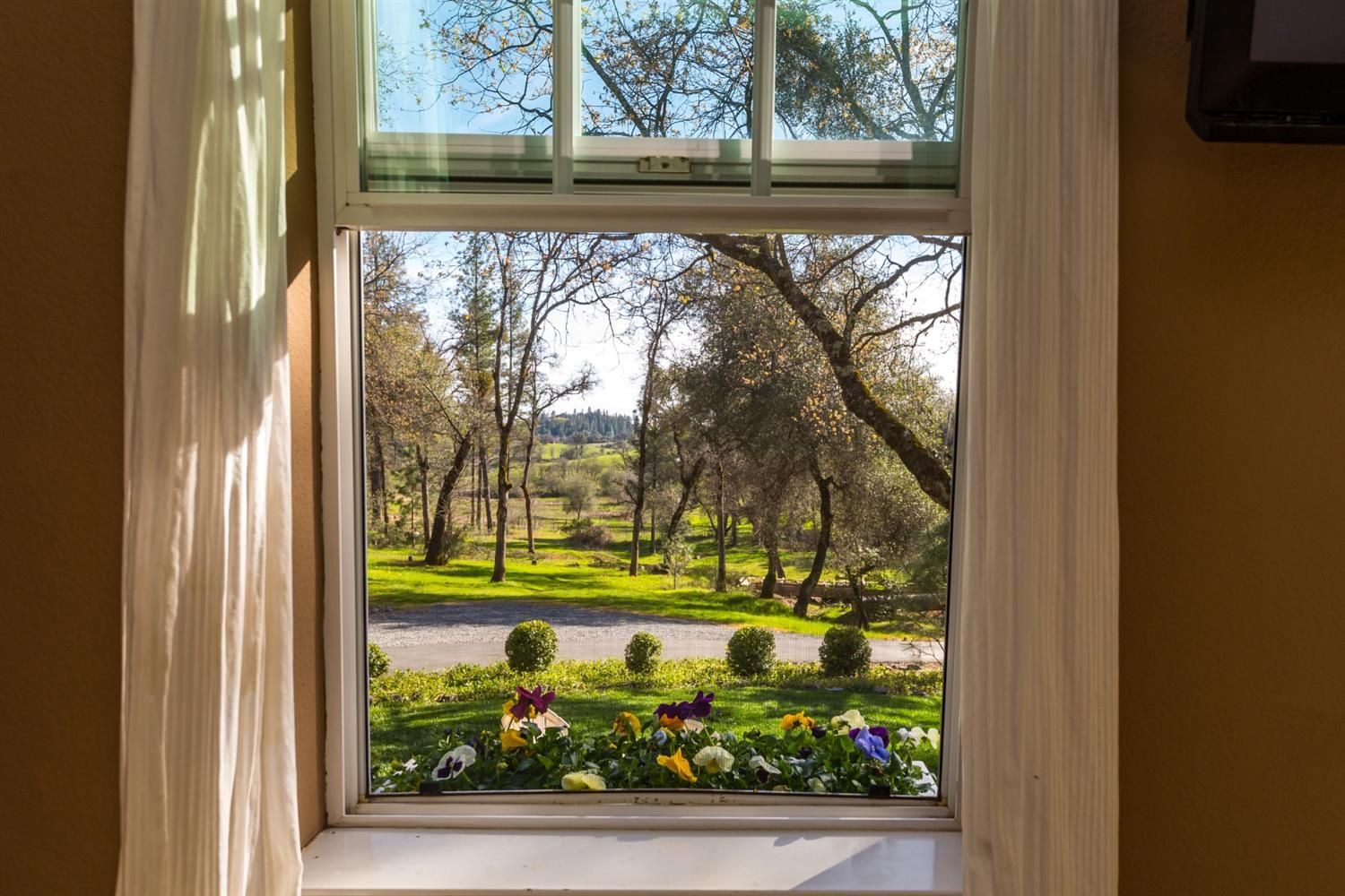 A window with a view of a garden and trees.