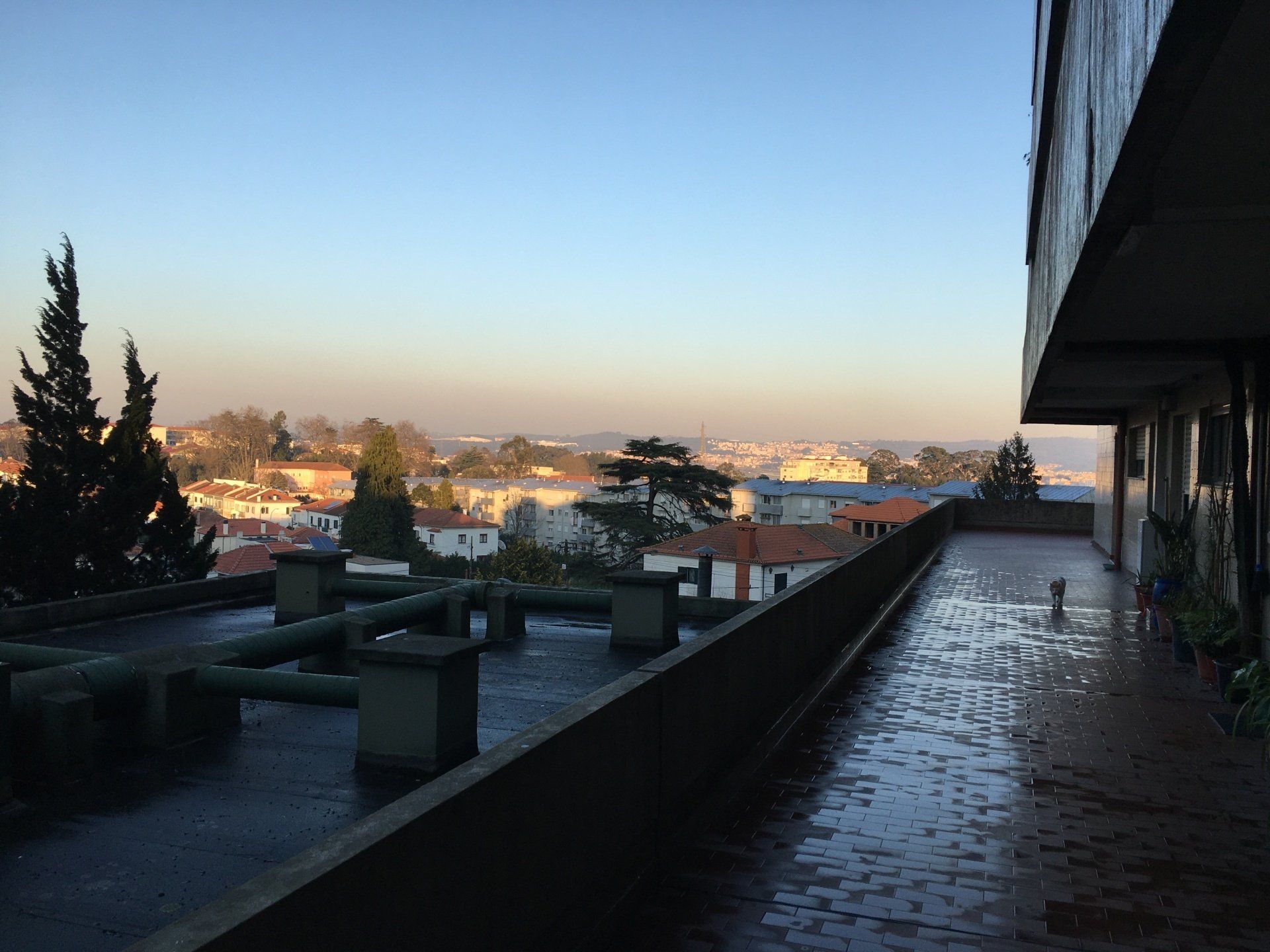 Antas Home Paranhos student housing