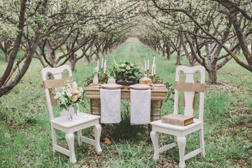 All About You Rentals - Wedding and Event Decor - Rustic Wood Slabs! I am  kind of a texture girl. Love this style🥰. www.allaboutyourentals.com # centerpieces #centerpiece #weddinginspirations #utahbrideandgroom #ut  #weddingrentals #eventrentals