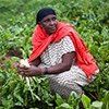 A woman in a red scarf is sitting in a field of plants.