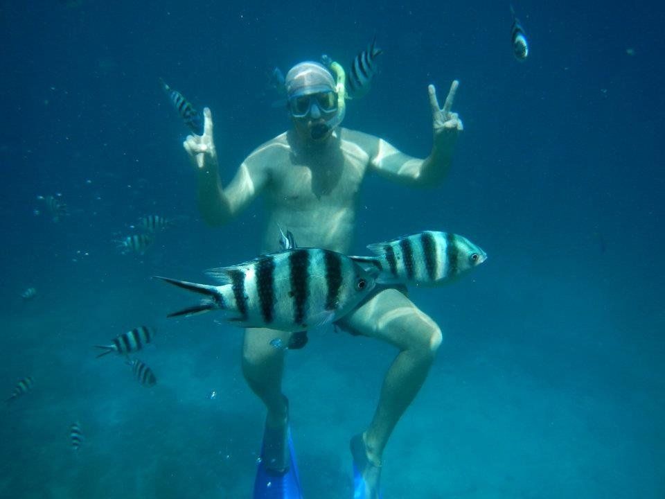 Accountant Greg Swimming Port Macquarie