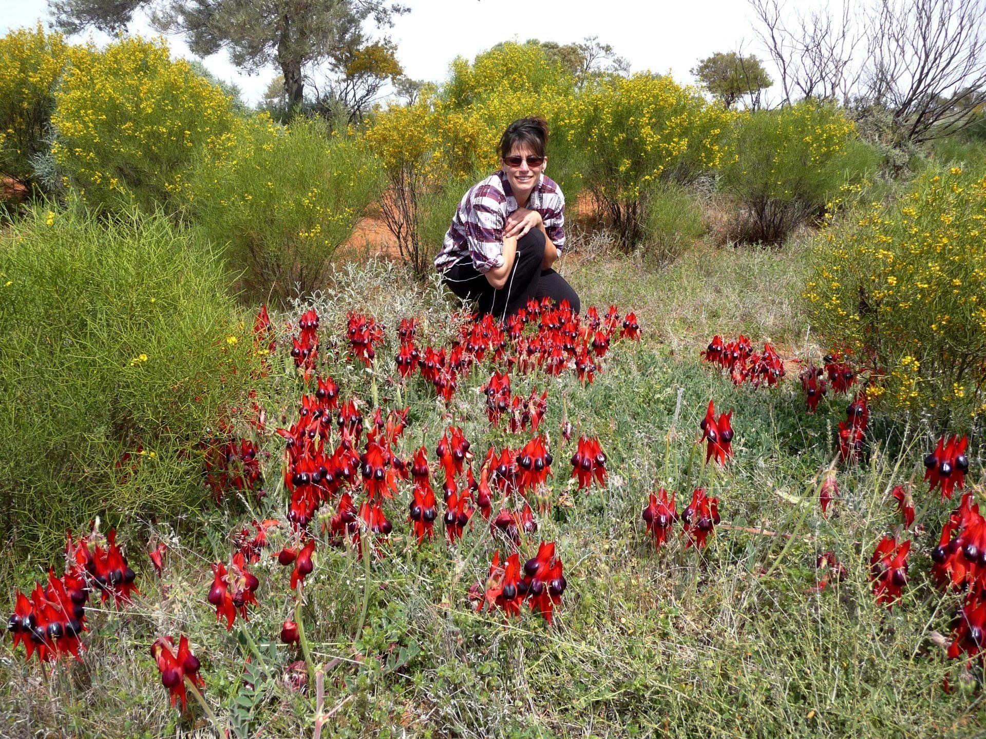 Port Macquarie's Raelene from GRrace Accountants