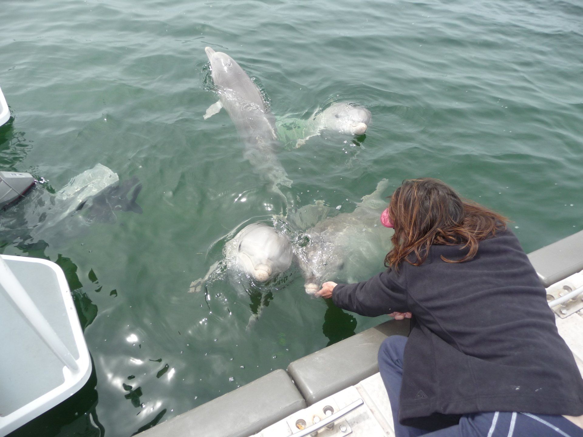 Port Macquarie Extreme fishing