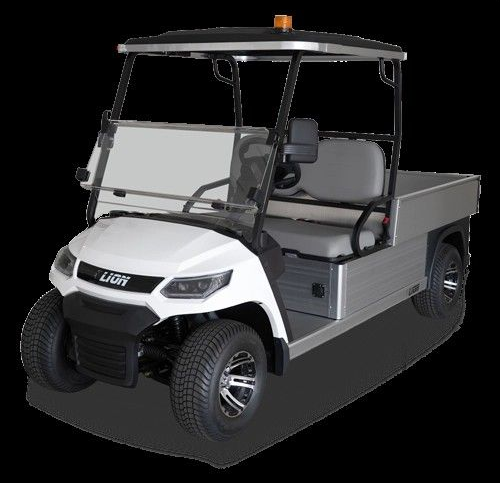 Two Golf Carts, Red and Black, Parked on Grass — Buggies & Batteries in Hidden Valley, QLD