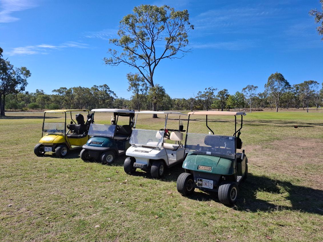 Four Golf Carts Parked on a Grassy Field — Buggies & Batteries in Hidden Valley, QLD