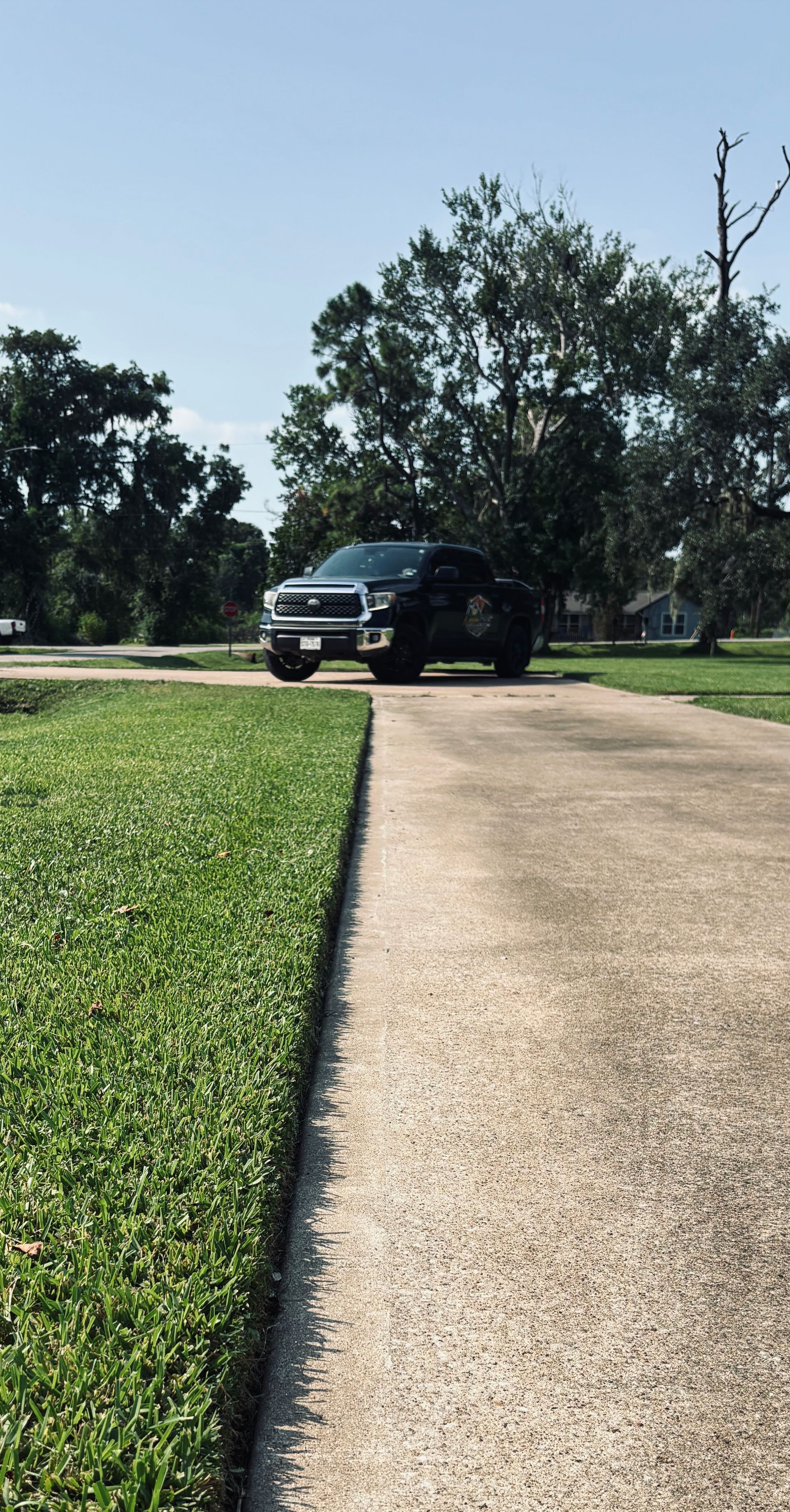 A curved sidewalk leads to a small house, passing a green bush and a metal pole. The path casts circular shadows.